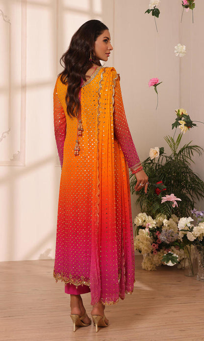 Nomi Ansari-NALP24-43