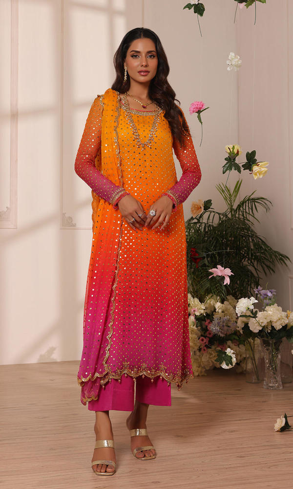 Nomi Ansari-NALP24-43