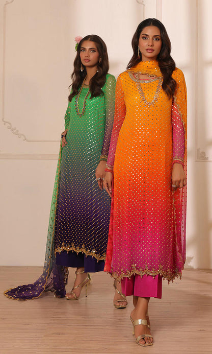 Nomi Ansari-NALP24-43