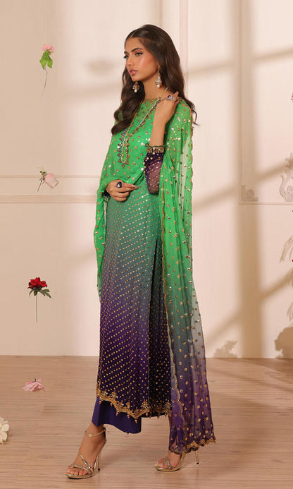 Nomi Ansari-NALP24-44